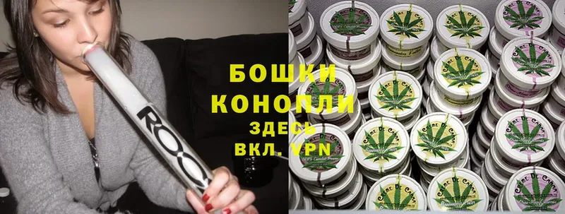 Бошки марихуана SATIVA & INDICA  Грязовец 